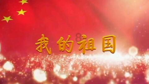萌宠好又多
